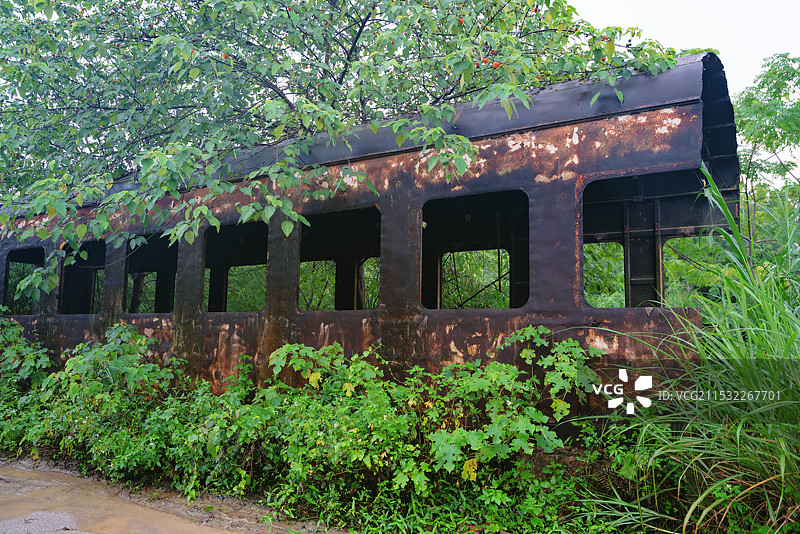 中国广西壮族自治区南宁市，藏在森林里的废弃火车！图片素材