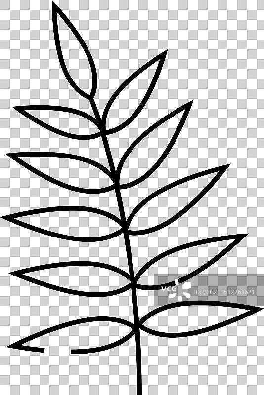 热带棕榈叶线条图标图片素材