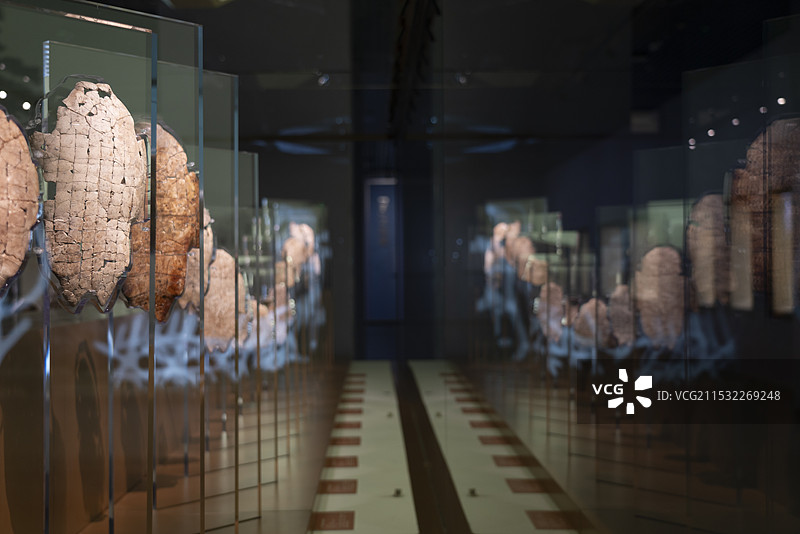 河南殷墟博物馆藏文物：甲骨文刻辞卜骨图片素材