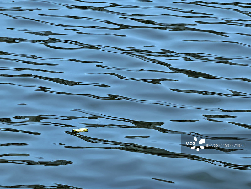 随波逐流图片素材