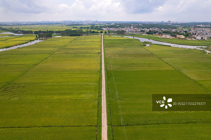 中国广东省湛江市麻章区通明港，“渔船坟墓”，三无船只扣押场地图片素材