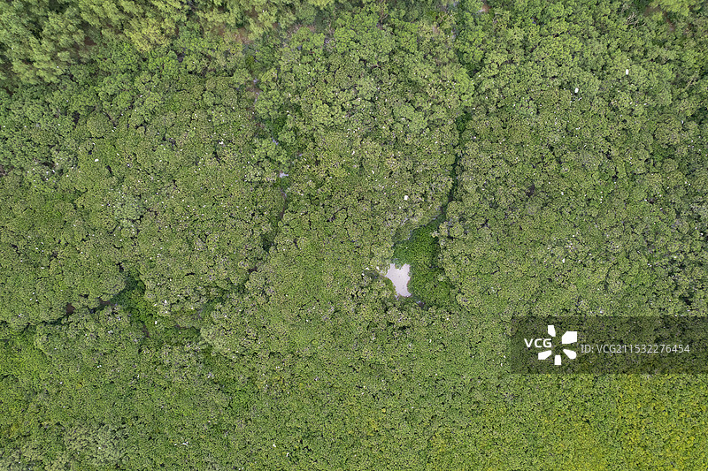 中国广东省湛江市麻章区通明港，“渔船坟墓”，三无船只扣押场地图片素材