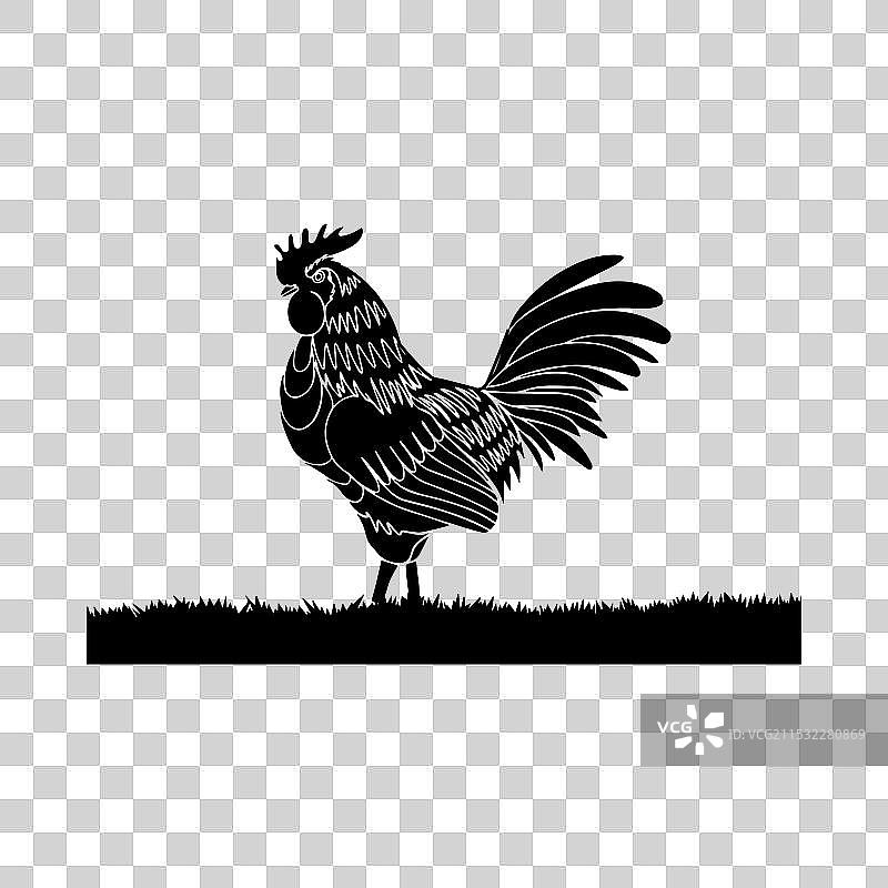 鸡的图标设计图片素材