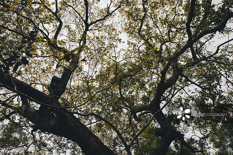 河源苏家围风景区图片素材