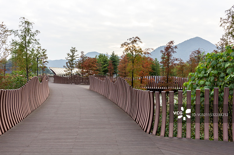 杭州铜鉴湖水上森林 水上栈道图片素材