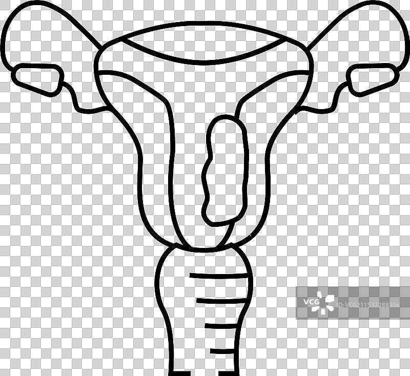 子宫内膜癌线条图标图片素材