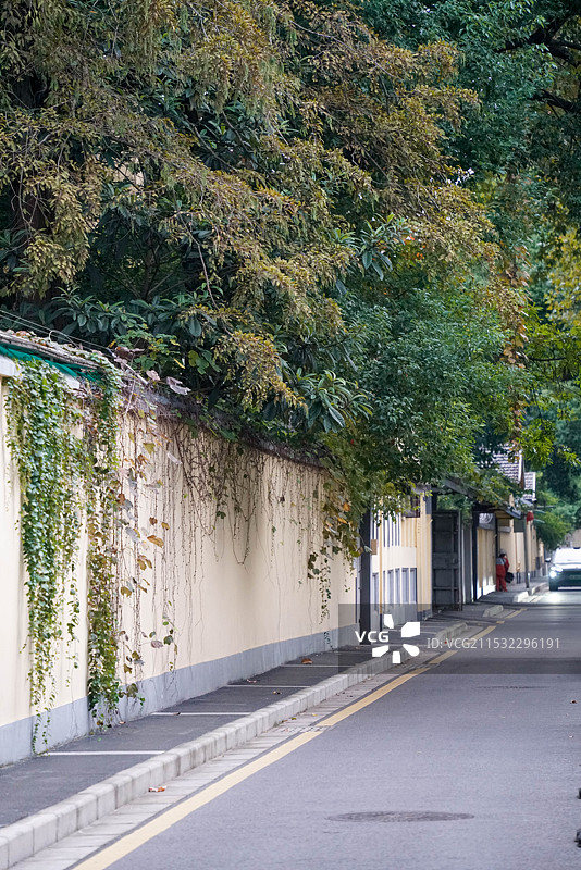 南京颐和路街道景观林荫路图片素材