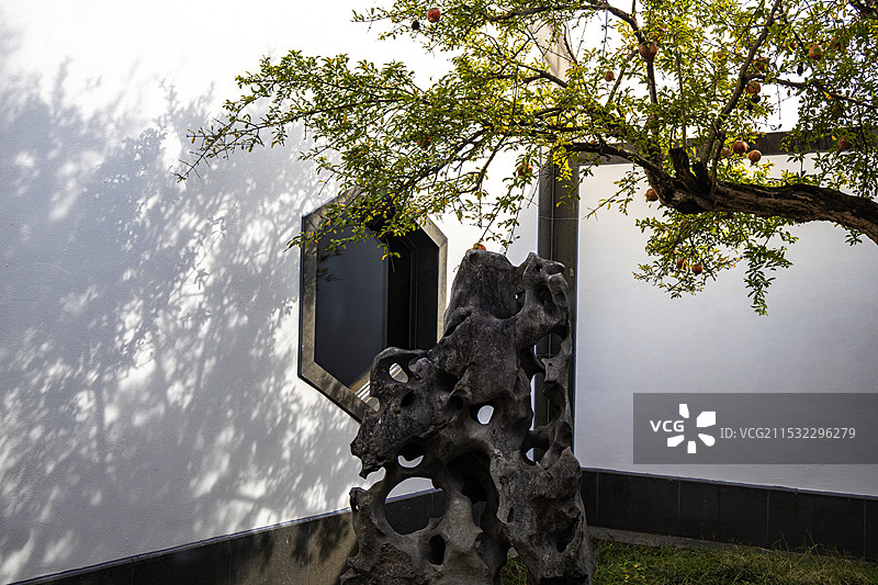 苏州博物馆中的假山和树木图片素材