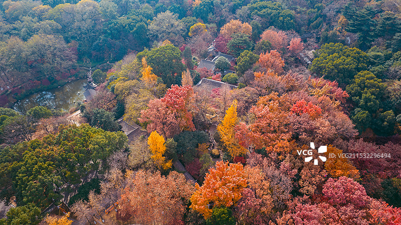 冬天的虞山公园图片素材
