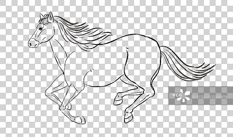 一匹奔跑的马动物主题手绘插画元素线稿图片素材