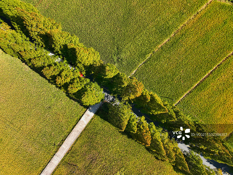 美丽的道路图片素材