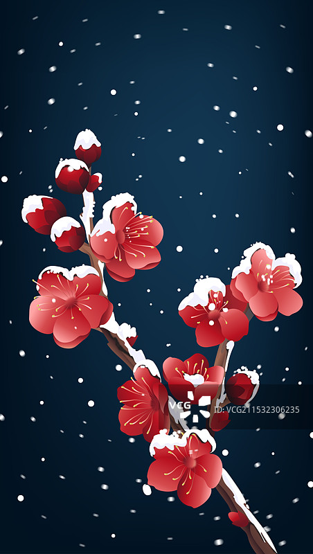雪梅花小寒大寒小雪大雪冬天图片素材