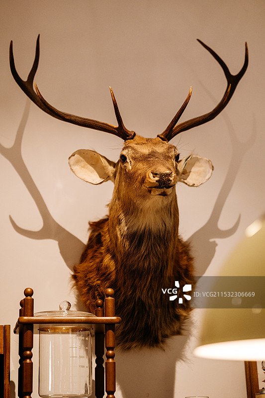 美式复古咖啡店网红装修风格图片素材