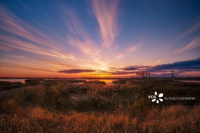晚日油城岸草平图片素材
