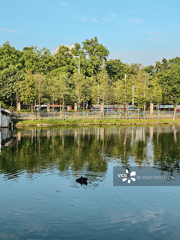 广州越秀公园图片素材