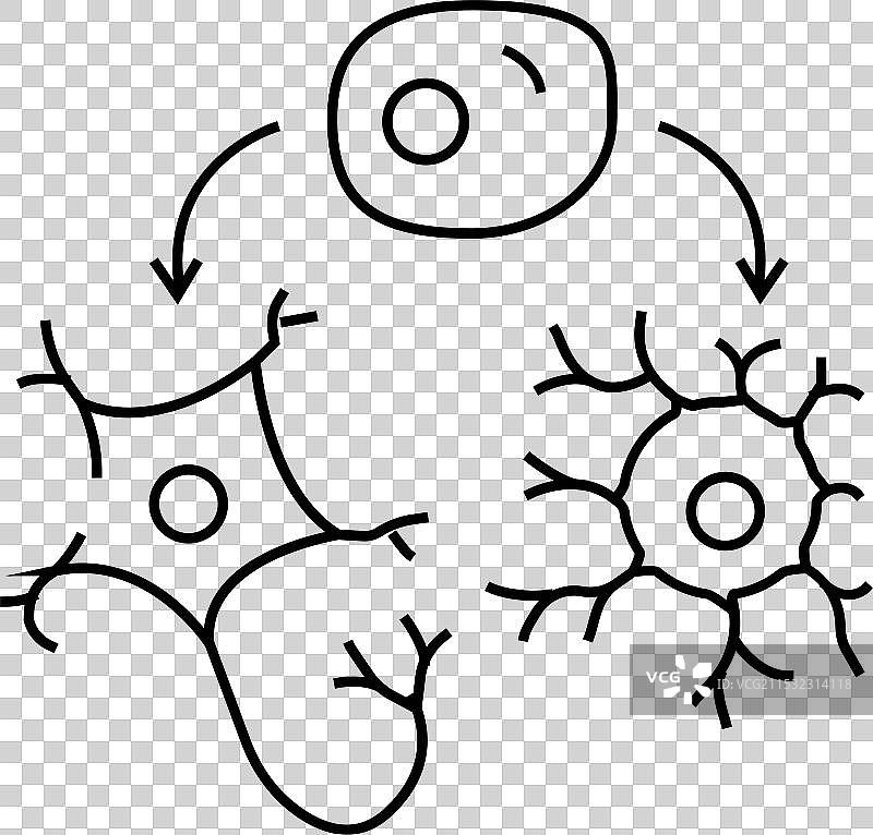 神经发生 神经科学 神经学 线条图标图片素材