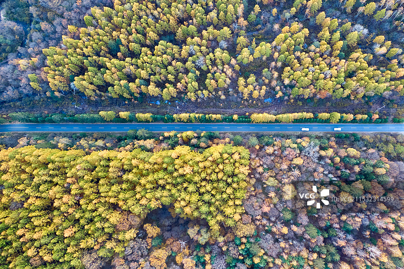 航拍小兴安岭伊春秋天的五花海图片素材