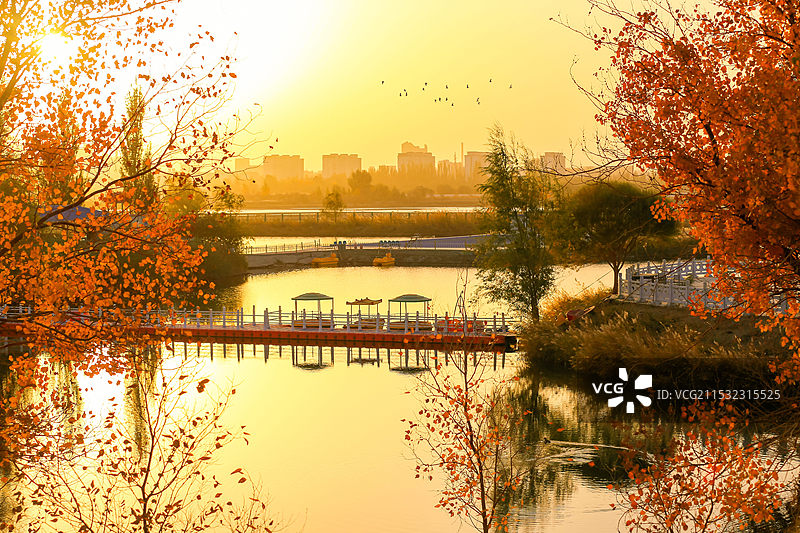 秋湖金辉，静谧时光里的温柔画卷图片素材