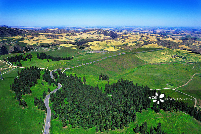 新疆伊犁高山森林图片素材