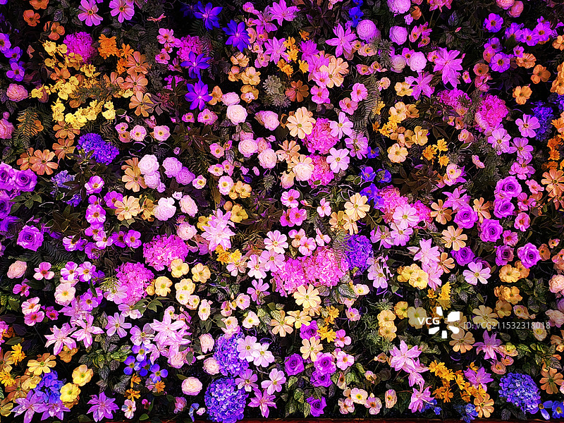 鲜花著锦图片素材