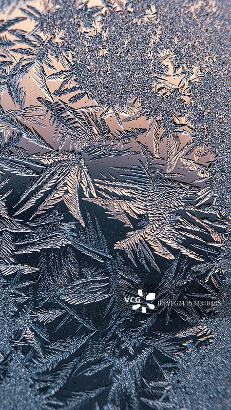 冰窗花图片素材