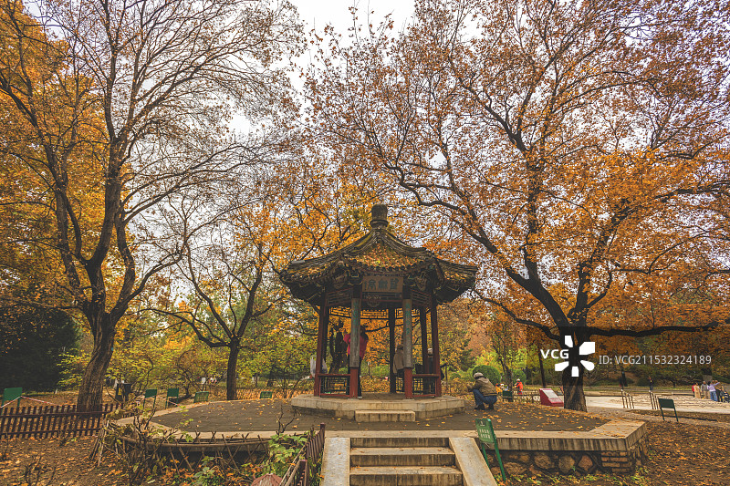 秋天的尾巴——地坛公园图片素材