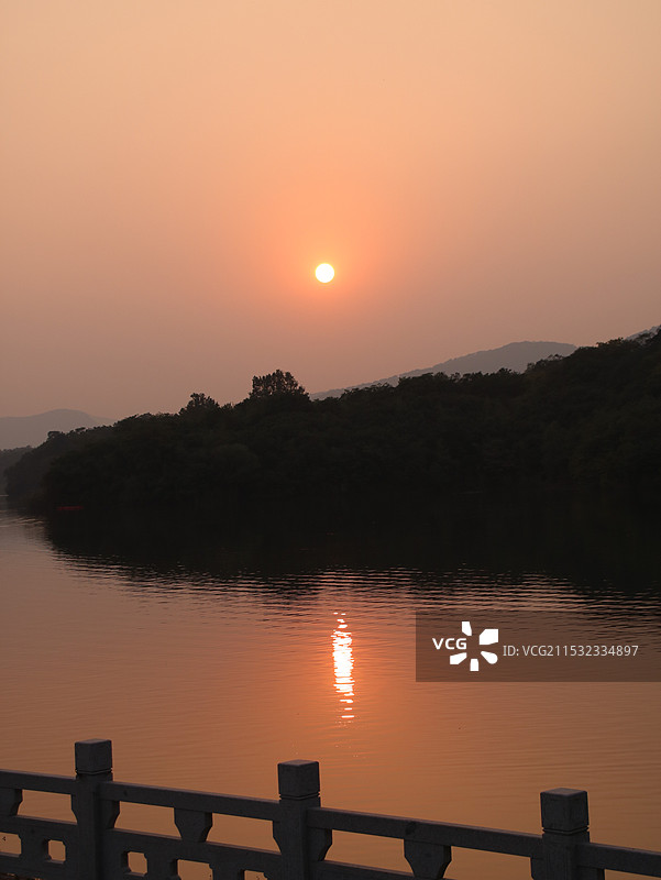 日落树梢头图片素材