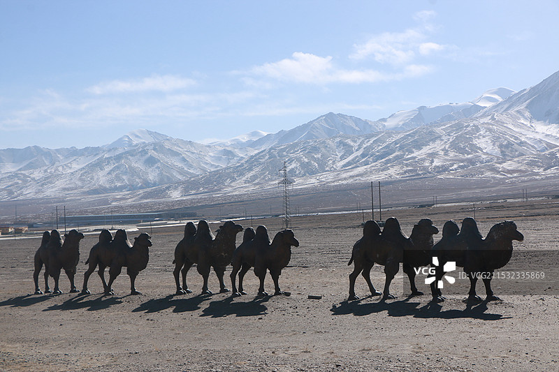旅游日记：青海-可可西里-风景-动物图片素材