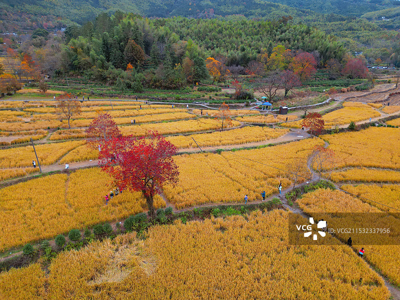 皖南的秋图片素材