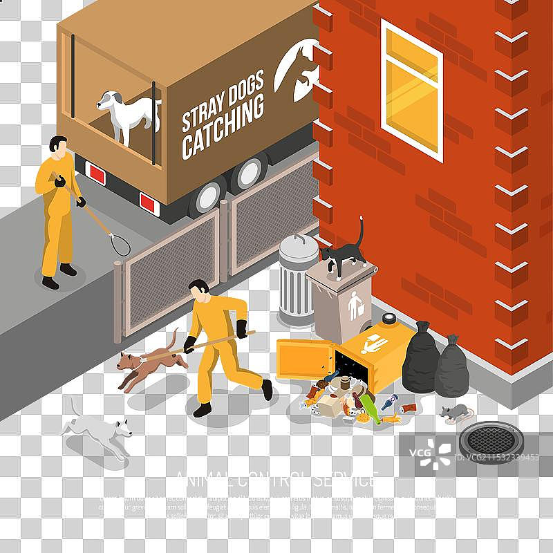 动物控制服务等距海报图片素材