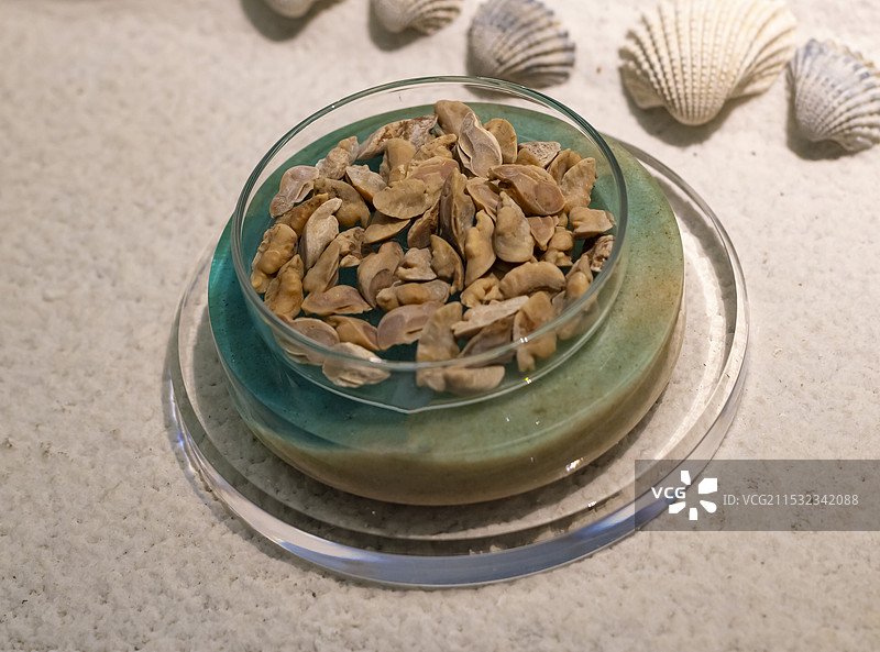 石首鱼耳石 新石器时代 余姚井头山遗址出土 浙江省文物考古研究所图片素材