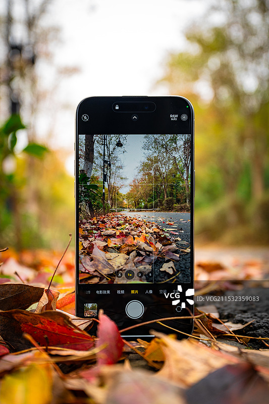 一层秋雨一层凉，相机拍手机图片素材