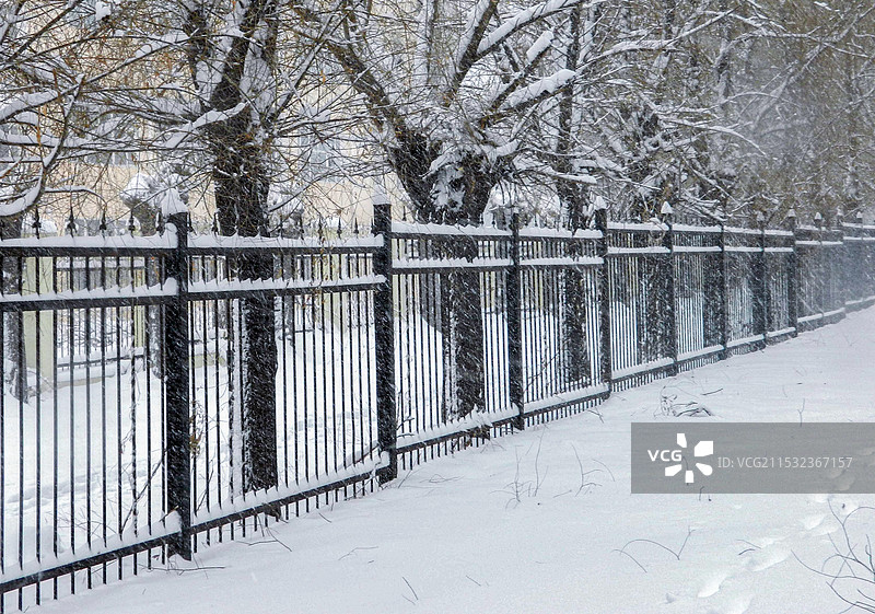 长春的雪图片素材