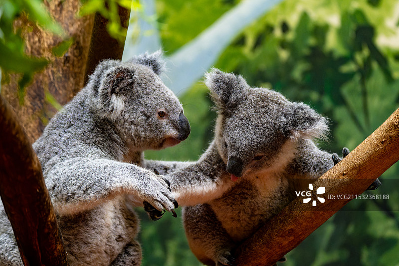 握握手图片素材