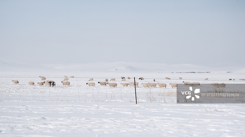 内蒙古-无人区-莫尔格勒河图片素材
