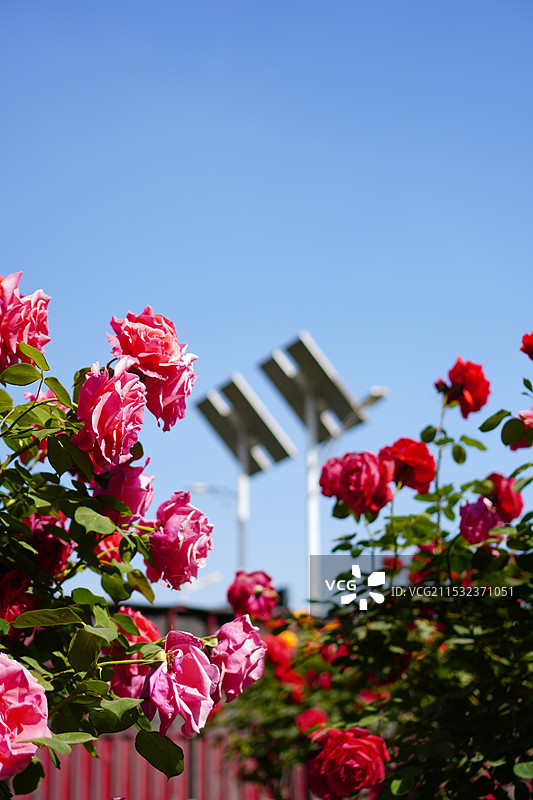 自然风光图片素材