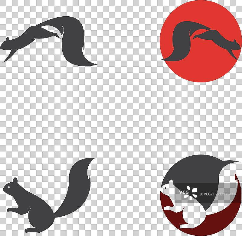 松鼠标志图片素材