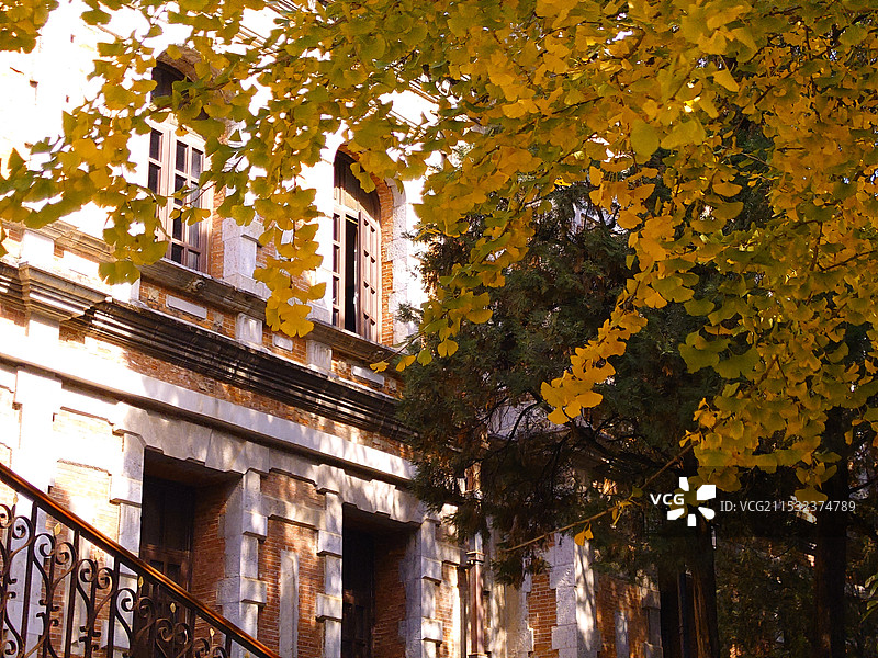 秋天昆明云南大学东陆校区风景图片素材