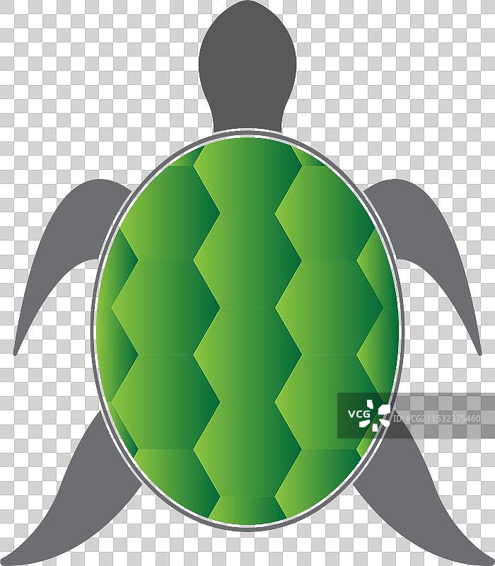 卡通海龟动物图标图片图片素材