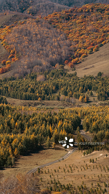 乌兰布统图片素材