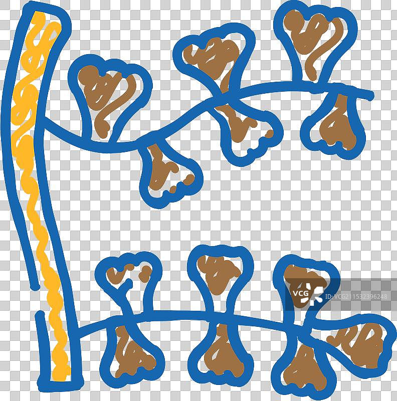 海藻图标涂鸦（萨尔加索海藻）图片素材