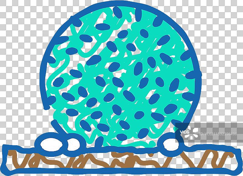 海藻图标涂鸦 - egagropylus linnaeus图片素材