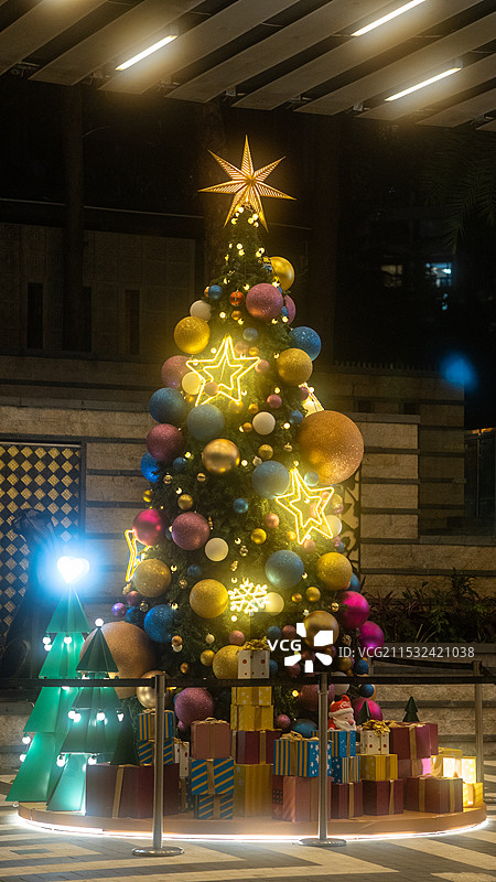 圣诞彩灯下的圣诞树图片素材