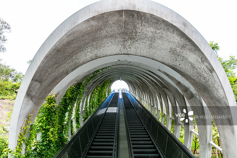 厦门园林植物园内的观景电梯图片素材