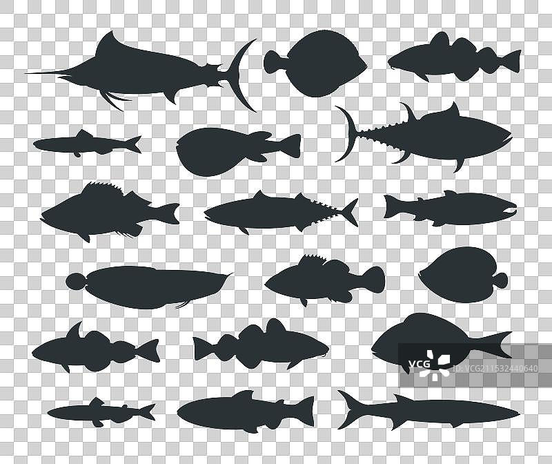 鱼的轮廓图片素材