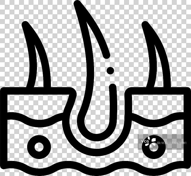 表皮图标，细线条风格设计，独立展示图片素材