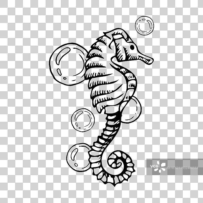 黑白色的海马与气泡图片素材