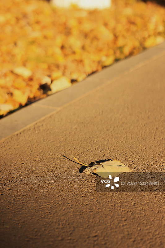 风景与美食图片素材