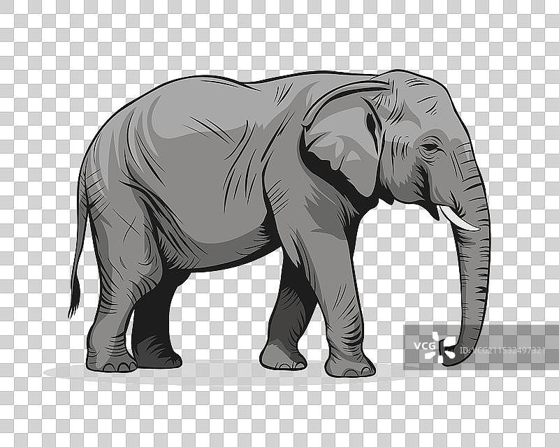 灰色大象野生动物剪贴画图片素材
