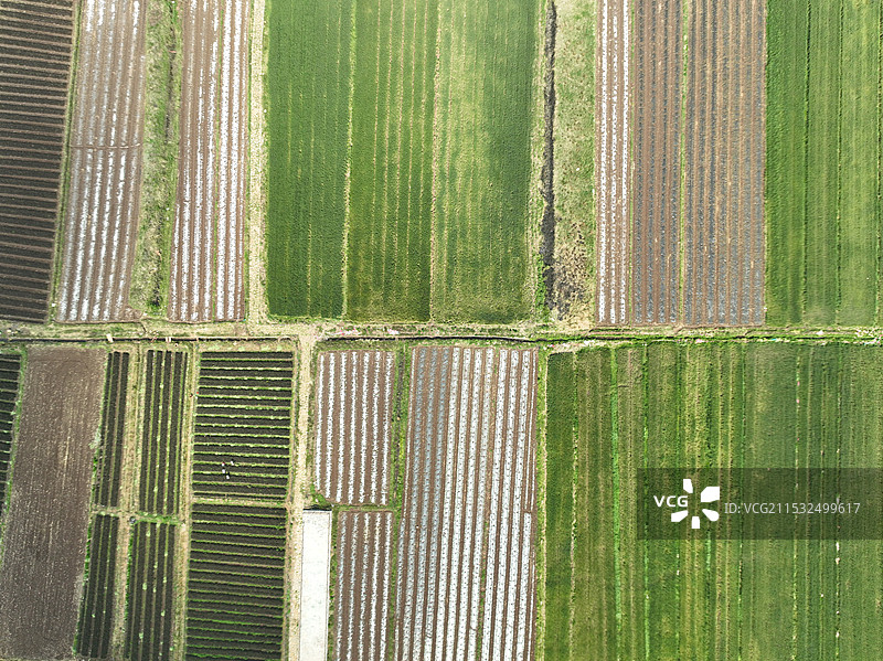航拍农田图片素材
